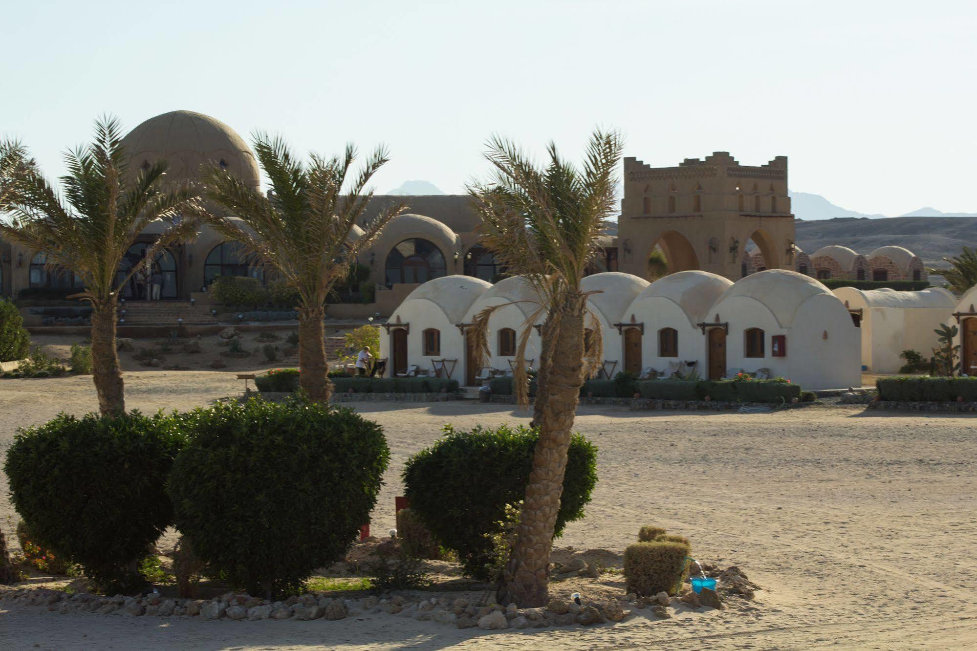 Marsa Shagra Village Marsa Alam Extérieur photo